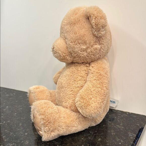 Baby Gund My First Teddy Tan Plush ~ Sewn Eyes & Nose Tan Teddy Bear Plush Toy - Picture 4 of 10